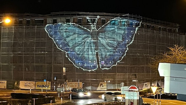 Plötzlich flattert ein riesengroßer Schmetterling durch die Nacht.