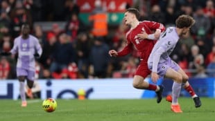 Florian Wirtz wurde gegen Brighton schwer gefoult.