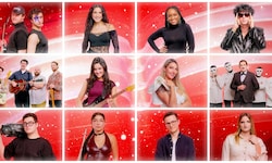 Diese zwölf Kandidaten rittern bei „Vienna Calling“ am 20. Februar in ORF 1 um den Einzug für ...