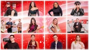 Diese zwölf Kandidaten rittern bei „Vienna Calling“ am 20. Februar in ORF 1 um den Einzug für ...