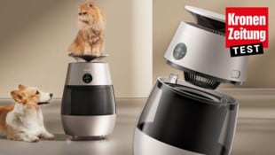 Würden Katzen den Dreame kaufen? Unser Test hinterlässt Zweifel.