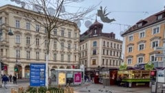 Statt des bekannten Brunnens steht nun ein Lederhülsenbaum. Er gilt als hitzeresistent, soll im ...