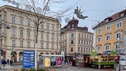 Statt des bekannten Brunnens steht nun ein Lederhülsenbaum. Er gilt als hitzeresistent, soll im ...
