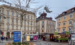 Statt des bekannten Brunnens steht nun ein Lederhülsenbaum. Er gilt als hitzeresistent, soll im ...
