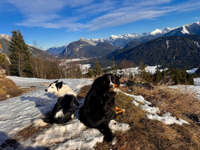 Auch Hüttenhündin „Paula“ (rechts) von der Rauthhütte im Leutaschtal und ihrem Besuch wäre eine ...
