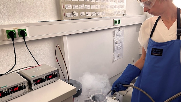 Kerstin Treidt, medizinisch-technische Fachkraft im Institut Kinderwunsch Burgenland, befüllt ...