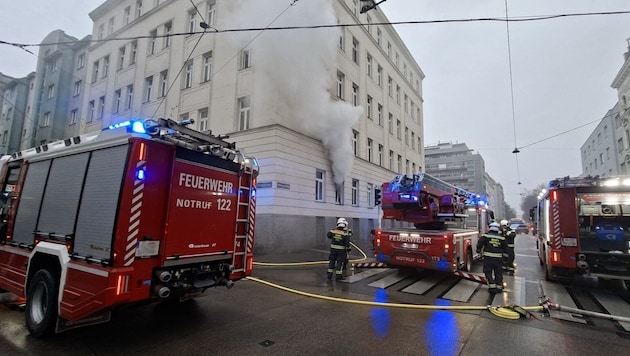 Bei dem Großeinsatz konnten insgesamt neun Personen und eine Katze gerettet werden.
