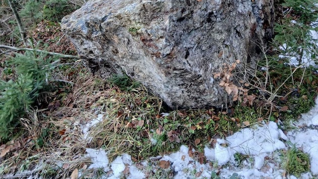 Dieser riesige Felsbrocken krachte vom Kleinen Warscheneck herunter und blieb unterhalb eines ...