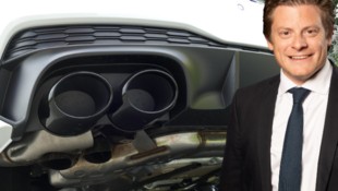 Das Verbrenner-Aus fällt, Christian Pesau erklärt, was Österreichs Automobil-Importeure davon ...