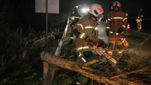 Die Feuerwehr musste frühmorgens mit der Motorsäge ran.
