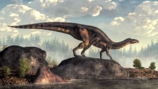 Nach ersten Analysen könnten die Abdrücke von Prosauropoden stammen, frühen pflanzenfressenden ...