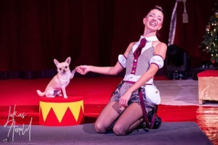 Lassen Sie sich verzaubern!