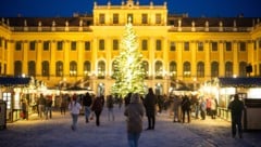 Das Duo trieb am Christkindlmarkt in Schönbrunn sein Unwesen (Symbolbild).