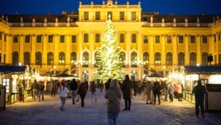 Das Duo trieb am Christkindlmarkt in Schönbrunn sein Unwesen (Symbolbild).