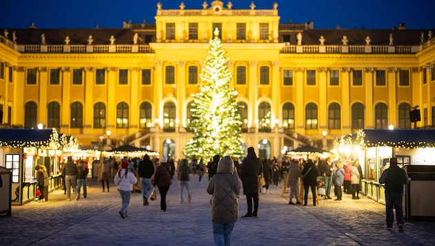 Das Duo trieb am Christkindlmarkt in Schönbrunn sein Unwesen (Symbolbild).