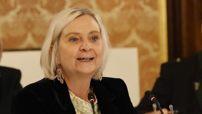 KPÖ-Klubobfrau Claudia Klimt-Weithaler fordert Vermögenssteuern.