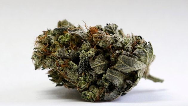 Der 22-Jährige aus Russland vertickte über längere Zeit Cannabis.