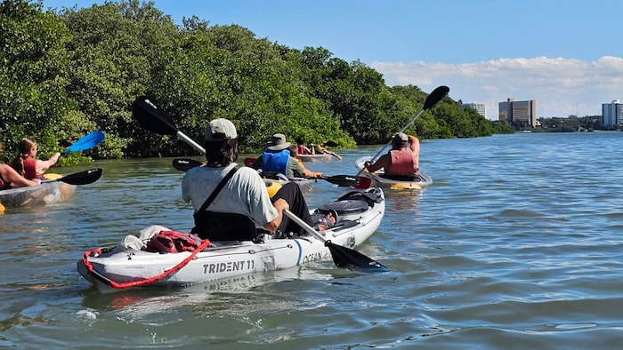Entschleunigung, vorbei an den berühmten Mangrovenwäldern.