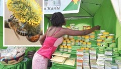 Während die heimische Bevölkerung immer höhere Belastungen aufgebürdet bekommt, macht die Stadt ...