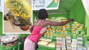 Krone KREATIV/Daniel Scharinger, AFP/Sia Kambou Während die heimische Bevölkerung immer höhere Belastungen aufgebürdet bekommt, macht die Stadt ...