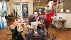 „Der Viechdoktor“ mit Patienten. Seine Fans sind nicht nur Tiere, sondern auch die Frauen.