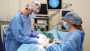 Der Regionale Strukturplan Gesundheit 2030 für Niederösterreich wurde präsentiert.