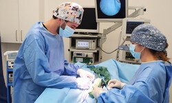 Der Regionale Strukturplan Gesundheit 2030 für Niederösterreich wurde präsentiert.