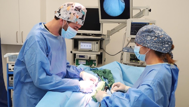 Der Regionale Strukturplan Gesundheit 2030 für Niederösterreich wurde präsentiert.