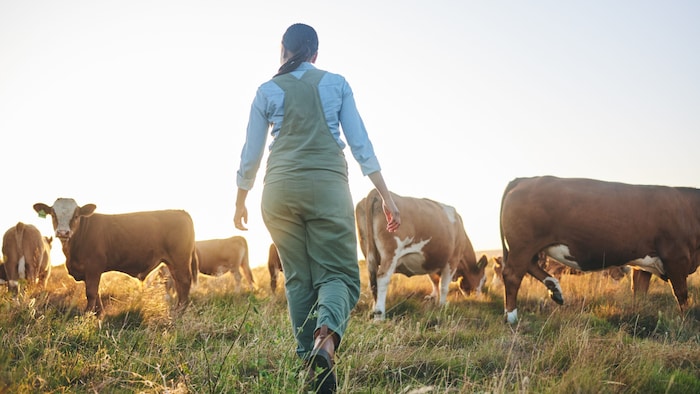 Unsere Landwirtschaft steht für Versorgung, Landschaftserhalt und vieles mehr. Doch sie gerät ...