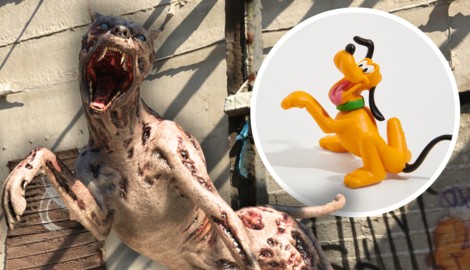 Keine Angst! Pluto ist (noch) nicht zum Zombiehund mutiert.