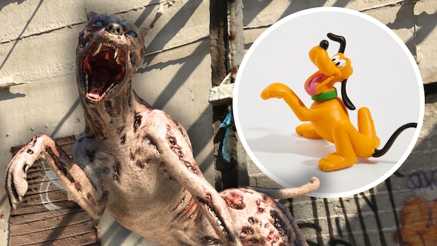 Keine Angst! Pluto ist (noch) nicht zum Zombiehund mutiert.