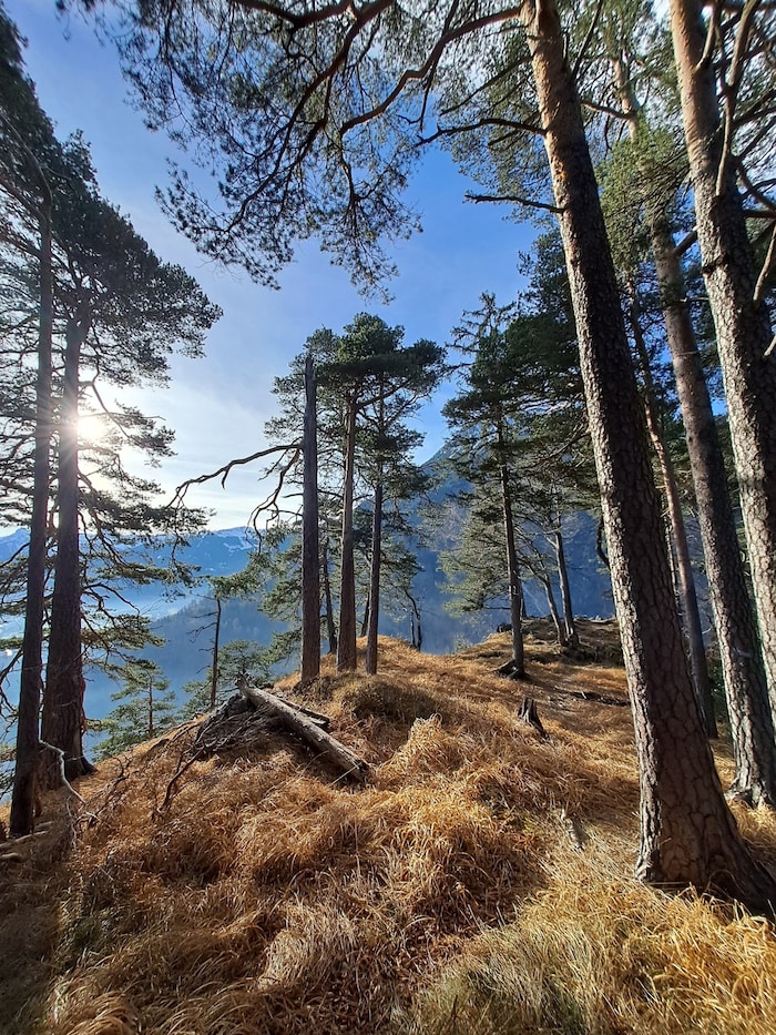 Weg Richtung Rappenkopf.