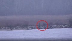 Drei Schatten im Nebel: Russische Grenzbeamte sollen unerlaubt estnisches Territorium betreten ...