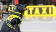 Assistenzhund bei der Arbeit. Er darf überall hin mit und braucht keinen Maulkorb.