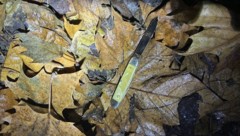 Die mutmaßliche Tatwaffe wurde von den Beamten in einem Gebüsch gefunden. 
