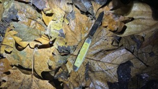 Die mutmaßliche Tatwaffe wurde von den Beamten in einem Gebüsch gefunden. 