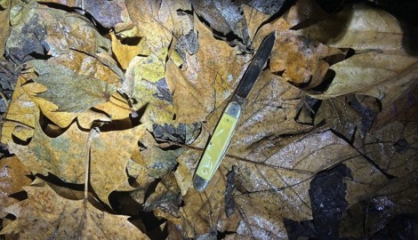 Die mutmaßliche Tatwaffe wurde von den Beamten in einem Gebüsch gefunden. 