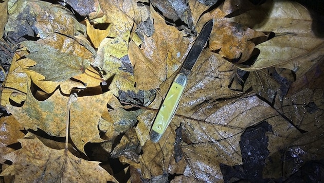 Die mutmaßliche Tatwaffe wurde von den Beamten in einem Gebüsch gefunden.