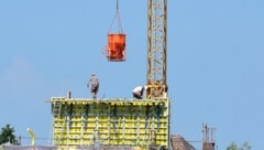 „Keinen stürmischen Aufwind“, aber ein Wachstum leicht über dem Durchschnitt der Eurozone ...