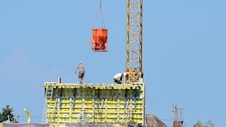 „Keinen stürmischen Aufwind“, aber ein Wachstum leicht über dem Durchschnitt der Eurozone ...