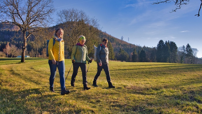 Über sanfte Wiesen und durch lichte Wälder führt diese Wandertour.