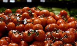 Paradeiser in einem US-Supermarkt