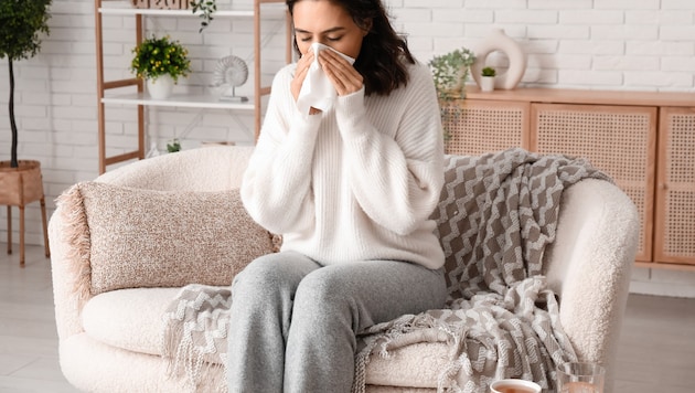 Niesreiz ist oft das erste Symptom einer entzündeten Nasenschleimhaut aufgrund einer Allergie.