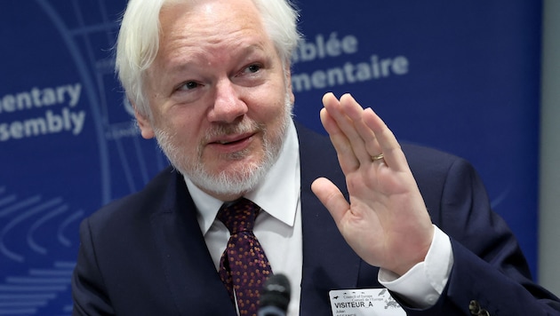 Wikileaks-Gründer Julian Assange