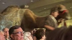 Wenig weihnachtlich ging für eine Amerikanerin der Besuch in einer Kirche im Rahmen der ...