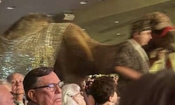 Wenig weihnachtlich ging für eine Amerikanerin der Besuch in einer Kirche im Rahmen der ...