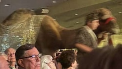 Wenig weihnachtlich ging für eine Amerikanerin der Besuch in einer Kirche im Rahmen der ...