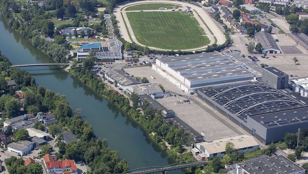 Florian Störinger veranstaltet auf der Welser Trabrennbahn am 7. und 8. August ein Festival für ...