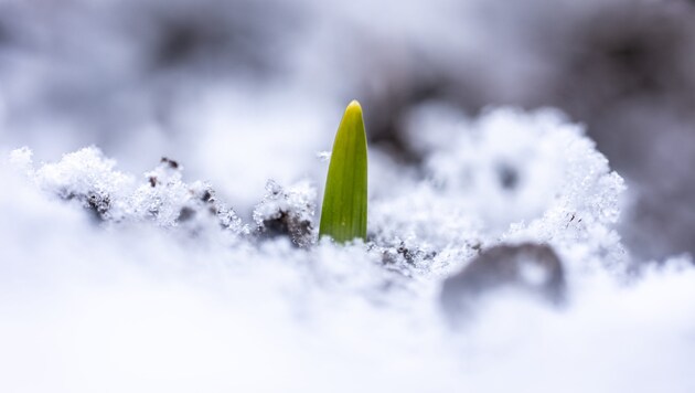 According to forecasts, Austria's economy will slowly recover from this year onwards.