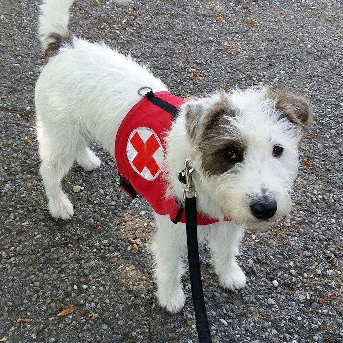 „Herr Mütze“ bereitet seinem Frauerl jeden Tag große Freude.